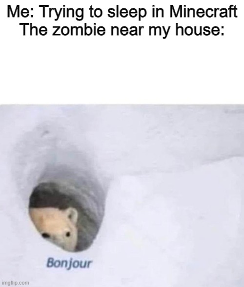 This sucks when it happens | Me: Trying to sleep in Minecraft
The zombie near my house: | image tagged in bonjour | made w/ Imgflip meme maker