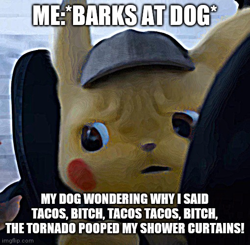 Unsettled detective pikachu | ME:*BARKS AT DOG*; MY DOG WONDERING WHY I SAID TACOS, BITCH, TACOS TACOS, BITCH, THE TORNADO POOPED MY SHOWER CURTAINS! | image tagged in unsettled detective pikachu | made w/ Imgflip meme maker