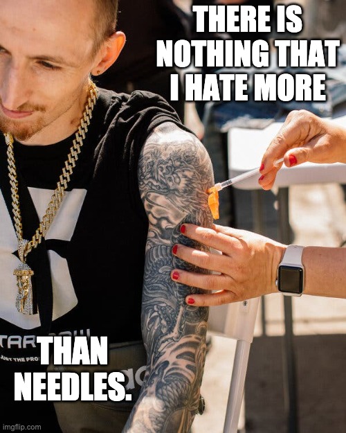 Needles | THERE IS NOTHING THAT I HATE MORE; THAN NEEDLES. | image tagged in covid | made w/ Imgflip meme maker