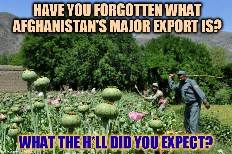 Love makes the world go round, but Afghanistan has other priorities. We're not talking about a lot of integrity here. | HAVE YOU FORGOTTEN WHAT AFGHANISTAN'S MAJOR EXPORT IS? WHAT THE H*LL DID YOU EXPECT? | image tagged in afghanistan,poppy,drugs,integrity | made w/ Imgflip meme maker