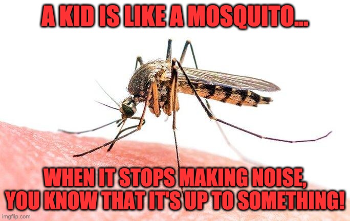 Mosquito | A KID IS LIKE A MOSQUITO... WHEN IT STOPS MAKING NOISE, YOU KNOW THAT IT'S UP TO SOMETHING! | image tagged in parenting | made w/ Imgflip meme maker
