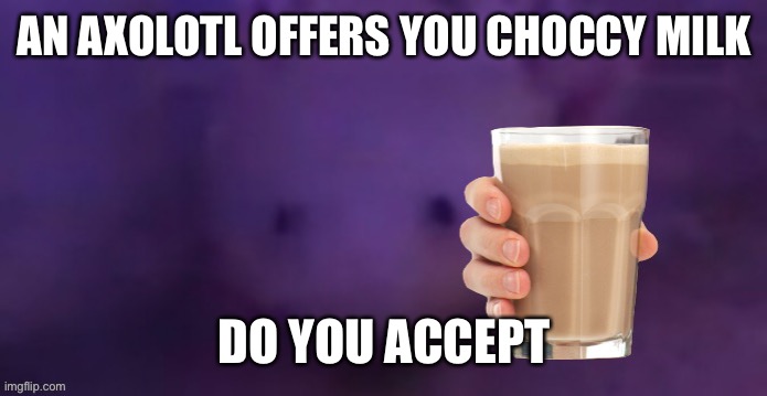 You can’t decline | AN AXOLOTL OFFERS YOU CHOCCY MILK; DO YOU ACCEPT | image tagged in axolotl,have some choccy milk | made w/ Imgflip meme maker