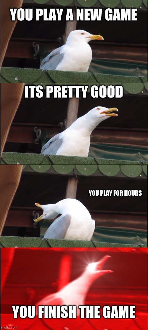 Inhaling Seagull | YOU PLAY A NEW GAME; ITS PRETTY GOOD; YOU PLAY FOR HOURS; YOU FINISH THE GAME | image tagged in memes,inhaling seagull | made w/ Imgflip meme maker