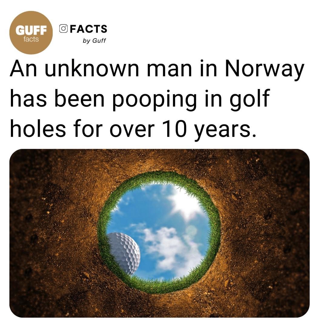High Quality Pooping in golf holes Blank Meme Template