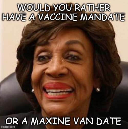 I guess it all depends on what her van looks like | WOULD YOU RATHER HAVE A VACCINE MANDATE; OR A MAXINE VAN DATE | image tagged in novax | made w/ Imgflip meme maker