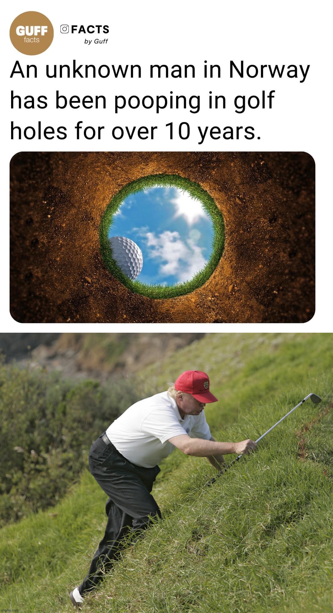 Found him | image tagged in pooping in golf holes,trump golfing | made w/ Imgflip meme maker
