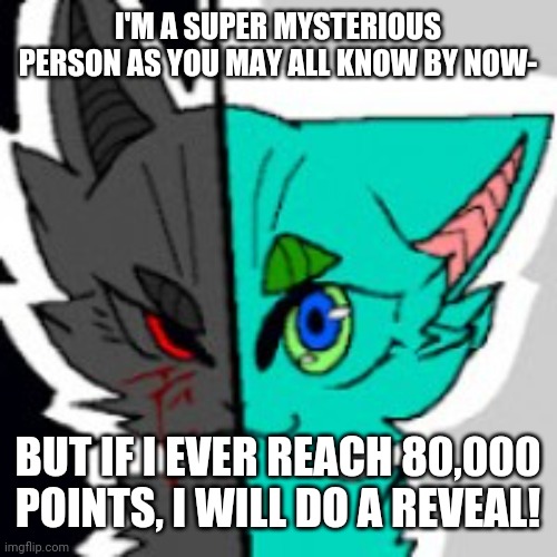 Ye | I'M A SUPER MYSTERIOUS PERSON AS YOU MAY ALL KNOW BY NOW-; BUT IF I EVER REACH 80,000 POINTS, I WILL DO A REVEAL! | image tagged in retrofurry announcement template | made w/ Imgflip meme maker