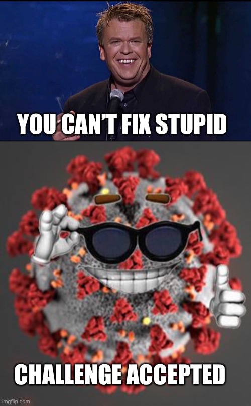 Darwin is having a field day | YOU CAN’T FIX STUPID; CHALLENGE ACCEPTED | image tagged in ron white,coronavirus | made w/ Imgflip meme maker