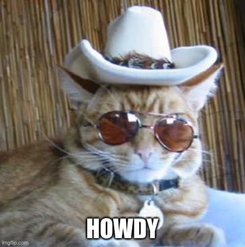Howdy | HOWDY | image tagged in howdy | made w/ Imgflip meme maker