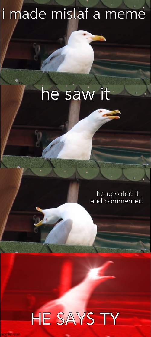 m i s l a f | i made mislaf a meme; he saw it; he upvoted it and commented; HE SAYS TY | image tagged in memes,inhaling seagull | made w/ Imgflip meme maker