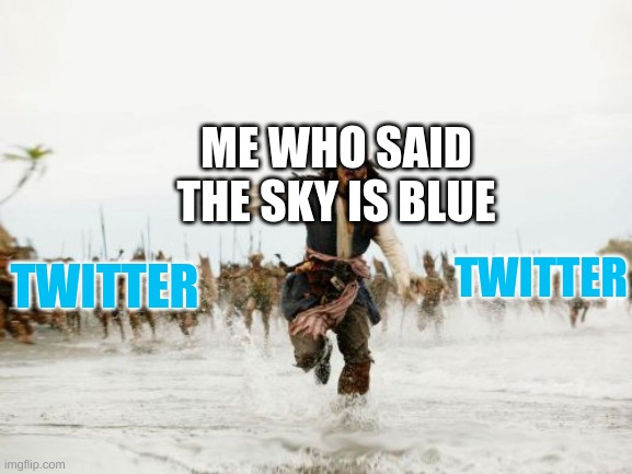 Be careful on twitter | ME WHO SAID THE SKY IS BLUE; TWITTER; TWITTER | image tagged in memes,jack sparrow being chased | made w/ Imgflip meme maker