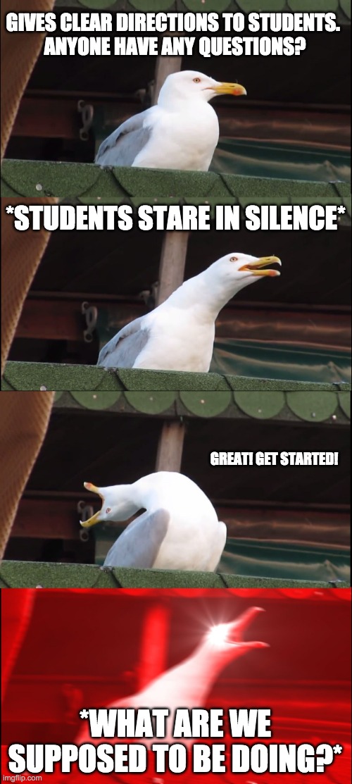 Teacher Instructions | GIVES CLEAR DIRECTIONS TO STUDENTS. 
ANYONE HAVE ANY QUESTIONS? *STUDENTS STARE IN SILENCE*; GREAT! GET STARTED! *WHAT ARE WE SUPPOSED TO BE DOING?* | image tagged in memes,inhaling seagull | made w/ Imgflip meme maker