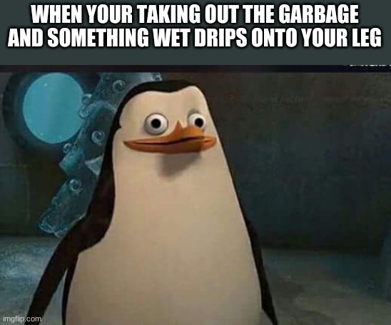 *Takes 100000000000000000000 showers* | WHEN YOUR TAKING OUT THE GARBAGE AND SOMETHING WET DRIPS ONTO YOUR LEG | image tagged in madagascar penguin | made w/ Imgflip meme maker