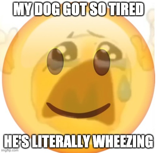 happy emoji on the outside, but crying on the inside | MY DOG GOT SO TIRED; HE'S LITERALLY WHEEZING | image tagged in happy emoji on the outside but crying on the inside | made w/ Imgflip meme maker