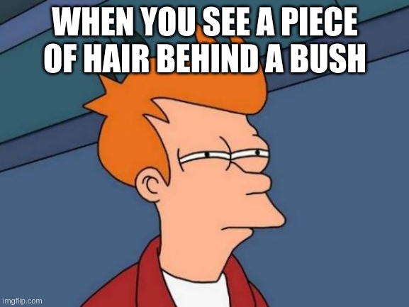 Futurama Fry | WHEN YOU SEE A PIECE OF HAIR BEHIND A BUSH | image tagged in memes,futurama fry | made w/ Imgflip meme maker