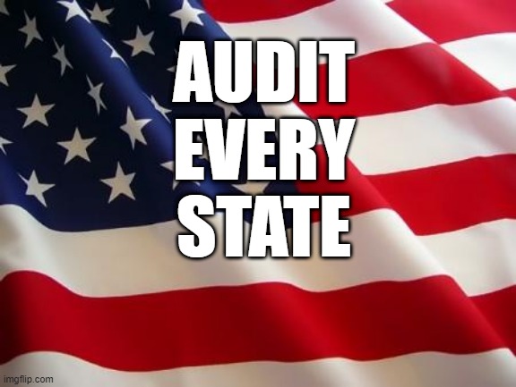 Audit Every State | AUDIT
EVERY
STATE | image tagged in american flag,audit,united states,election | made w/ Imgflip meme maker