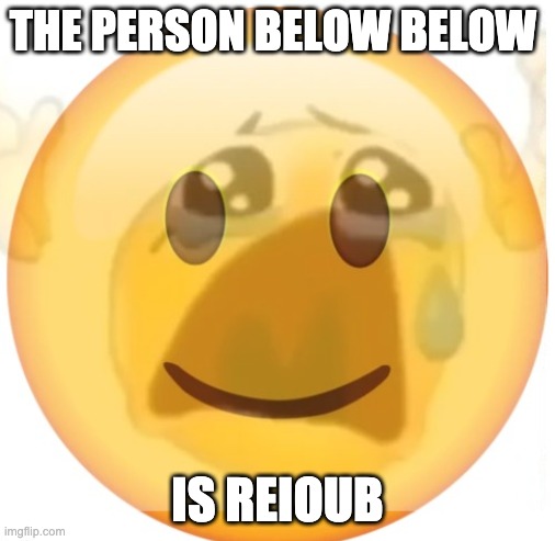 happy emoji on the outside, but crying on the inside | THE PERSON BELOW BELOW; IS REIOUB | image tagged in happy emoji on the outside but crying on the inside | made w/ Imgflip meme maker