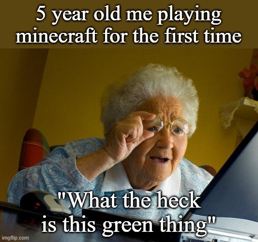 I'm out of ideas | 5 year old me playing minecraft for the first time; "What the heck is this green thing" | image tagged in memes,grandma finds the internet,minecraft,minecraft creeper,stupid people,stupid memes | made w/ Imgflip meme maker