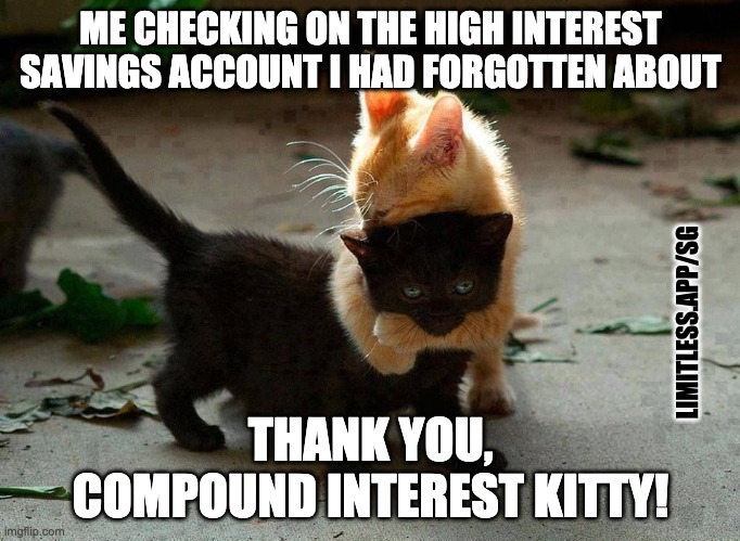 Compound Interest Kitty |  ME CHECKING ON THE HIGH INTEREST SAVINGS ACCOUNT I HAD FORGOTTEN ABOUT; LIMITLESS.APP/SG; THANK YOU,
COMPOUND INTEREST KITTY! | image tagged in kitten hug,personal finance,limitless,compound interest | made w/ Imgflip meme maker