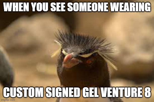 them penguins be like | WHEN YOU SEE SOMEONE WEARING; CUSTOM SIGNED GEL VENTURE 8 | image tagged in penguins | made w/ Imgflip meme maker