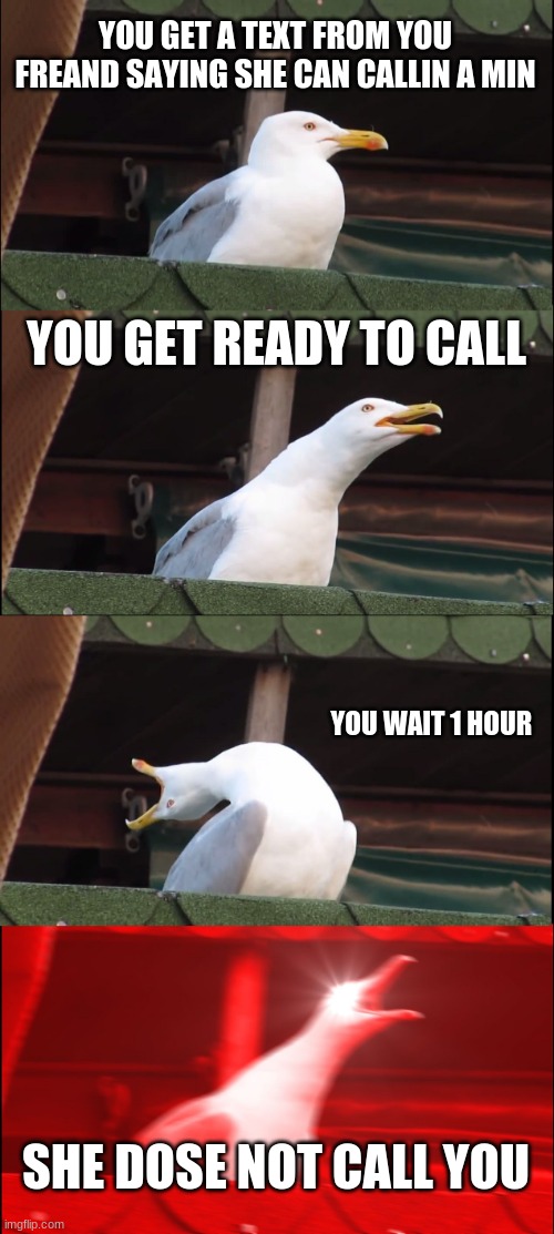 Inhaling Seagull | YOU GET A TEXT FROM YOU FREAND SAYING SHE CAN CALLIN A MIN; YOU GET READY TO CALL; YOU WAIT 1 HOUR; SHE DOSE NOT CALL YOU | image tagged in memes,inhaling seagull | made w/ Imgflip meme maker