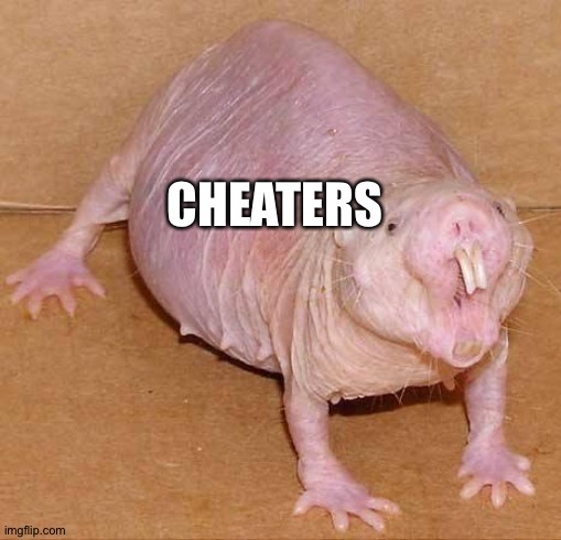 naked mole rat | CHEATERS | image tagged in naked mole rat | made w/ Imgflip meme maker