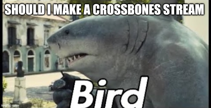 Other people do it so why not me | SHOULD I MAKE A CROSSBONES STREAM | image tagged in king shark bird | made w/ Imgflip meme maker