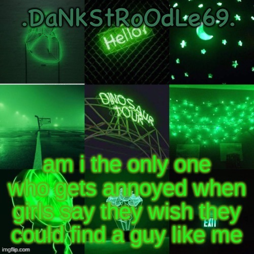 green templit ty bean | am i the only one who gets annoyed when girls say they wish they could find a guy like me | image tagged in green templit ty bean | made w/ Imgflip meme maker