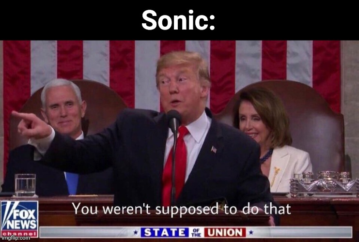 you werent supposed to do that | Sonic: | image tagged in you werent supposed to do that | made w/ Imgflip meme maker