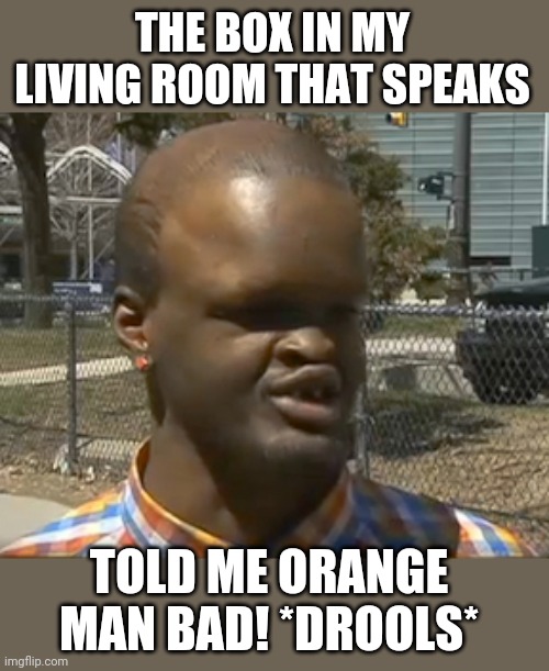 Black Retard | THE BOX IN MY LIVING ROOM THAT SPEAKS TOLD ME ORANGE MAN BAD! *DROOLS* | image tagged in black retard | made w/ Imgflip meme maker