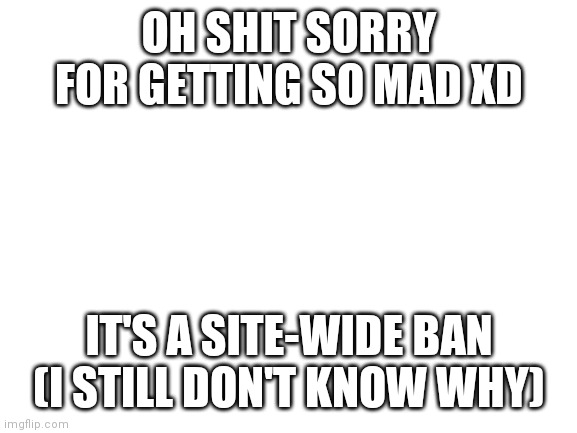 Blank White Template | OH SHIT SORRY FOR GETTING SO MAD XD; IT'S A SITE-WIDE BAN (I STILL DON'T KNOW WHY) | image tagged in blank white template | made w/ Imgflip meme maker