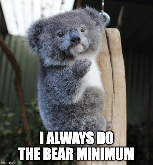 Bear minimum |  I ALWAYS DO THE BEAR MINIMUM | image tagged in baby koala italian gesture,koala | made w/ Imgflip meme maker