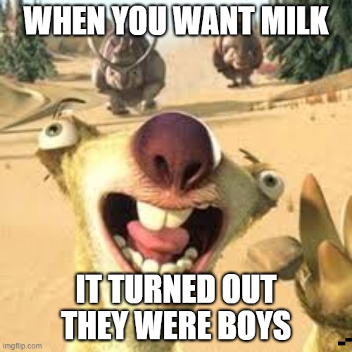 milk | WHEN YOU WANT MILK; IT TURNED OUT THEY WERE BOYS | image tagged in sid,meme | made w/ Imgflip meme maker