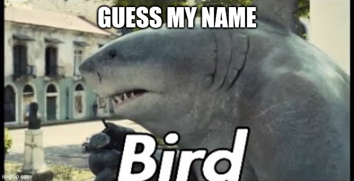 King shark bird | GUESS MY NAME | image tagged in king shark bird | made w/ Imgflip meme maker