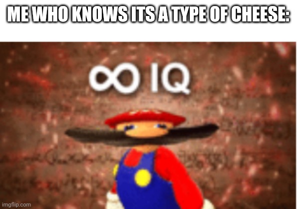 Infinite IQ | ME WHO KNOWS ITS A TYPE OF CHEESE: | image tagged in infinite iq | made w/ Imgflip meme maker
