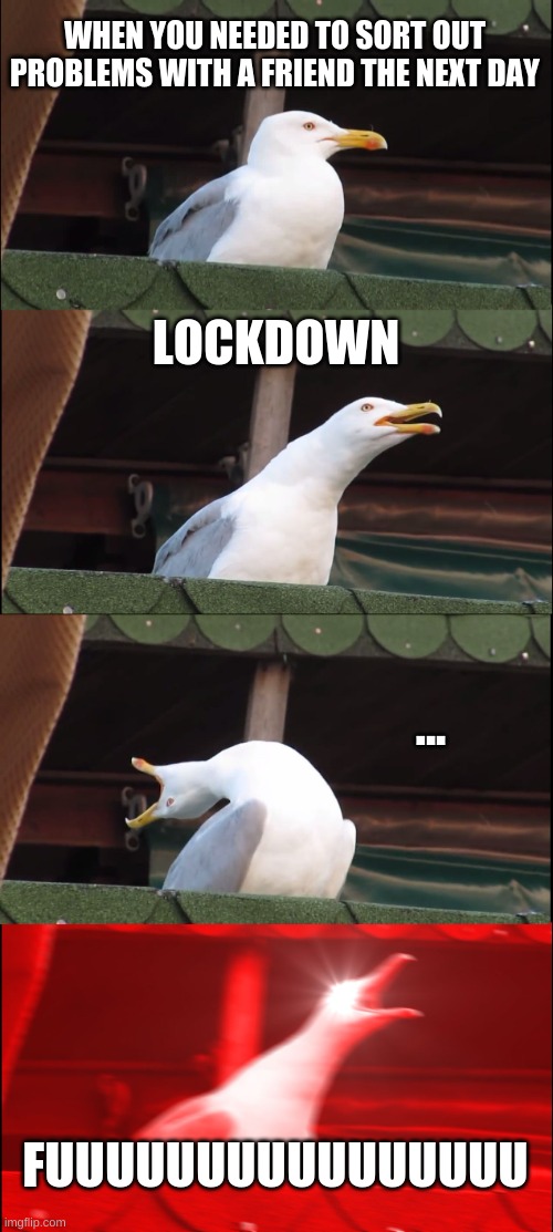 Inhaling Seagull | WHEN YOU NEEDED TO SORT OUT PROBLEMS WITH A FRIEND THE NEXT DAY; LOCKDOWN; ... FUUUUUUUUUUUUUUUU | image tagged in memes,inhaling seagull | made w/ Imgflip meme maker