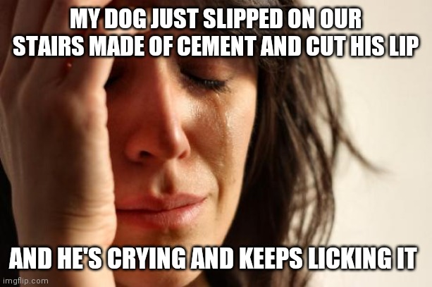 My dog has never been hurt before | MY DOG JUST SLIPPED ON OUR STAIRS MADE OF CEMENT AND CUT HIS LIP; AND HE'S CRYING AND KEEPS LICKING IT | image tagged in memes,first world problems | made w/ Imgflip meme maker