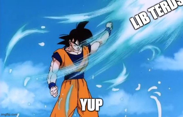 dragon ball z deflect | LIB TERDS YUP | image tagged in dragon ball z deflect | made w/ Imgflip meme maker