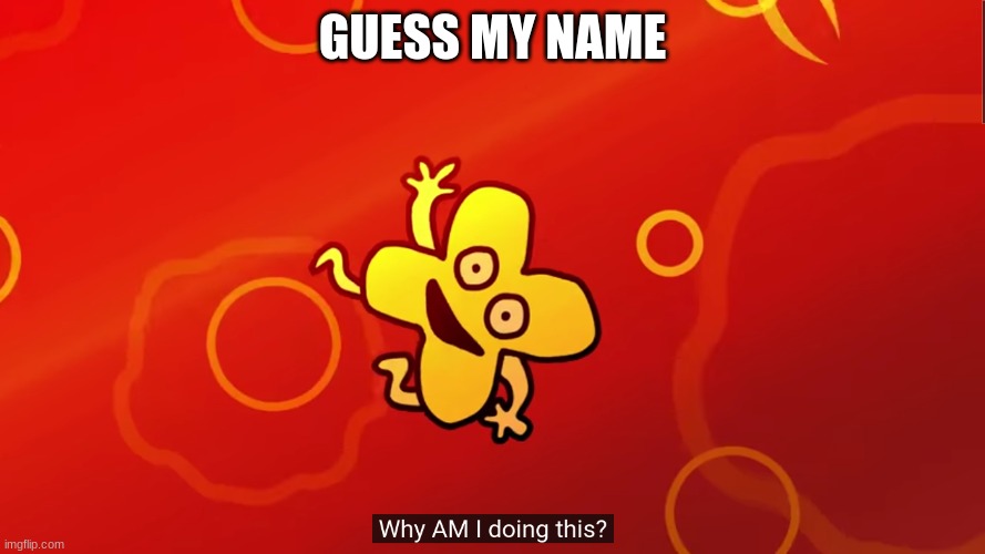 HAHAHAHA YOU'LL NEVER GET IT | GUESS MY NAME | image tagged in why am i doing this x bfb | made w/ Imgflip meme maker