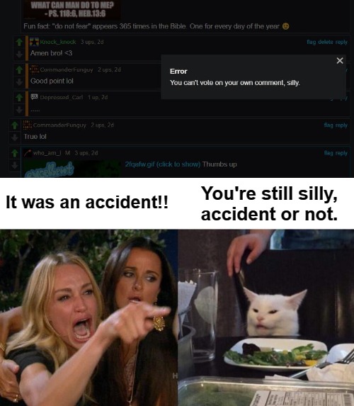 It was an accident!! You're still silly,
accident or not. | image tagged in memes,woman yelling at cat | made w/ Imgflip meme maker