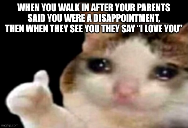 That moment when your parents think your a disappointment | WHEN YOU WALK IN AFTER YOUR PARENTS SAID YOU WERE A DISAPPOINTMENT, THEN WHEN THEY SEE YOU THEY SAY “I LOVE YOU” | image tagged in sad cat thumbs up | made w/ Imgflip meme maker