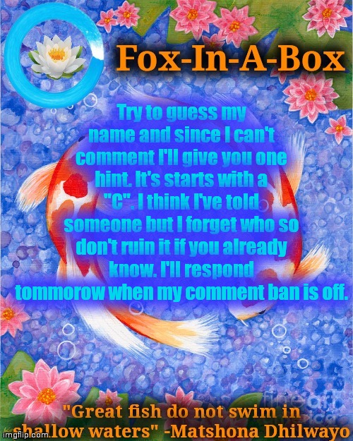 This is a thing ig | Try to guess my name and since I can't comment I'll give you one hint. It's starts with a "C". I think I've told someone but I forget who so don't ruin it if you already know. I'll respond tommorow when my comment ban is off. | image tagged in fox-in-a-box fish temp | made w/ Imgflip meme maker