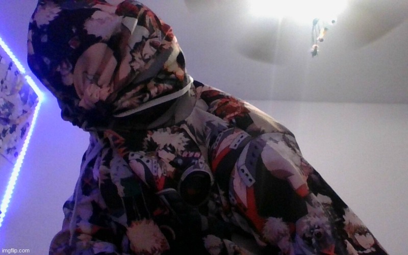til i reach  100 this is close as yall get to a face reveal | made w/ Imgflip meme maker