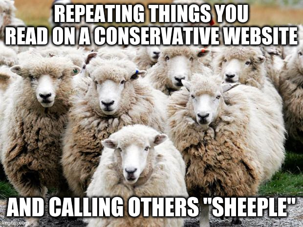 BAA! | REPEATING THINGS YOU READ ON A CONSERVATIVE WEBSITE; AND CALLING OTHERS "SHEEPLE" | image tagged in hypocrisy,conservatives | made w/ Imgflip meme maker