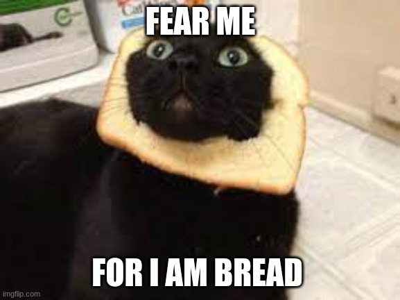 FEAR ME; FOR I AM BREAD | image tagged in cat,bread | made w/ Imgflip meme maker