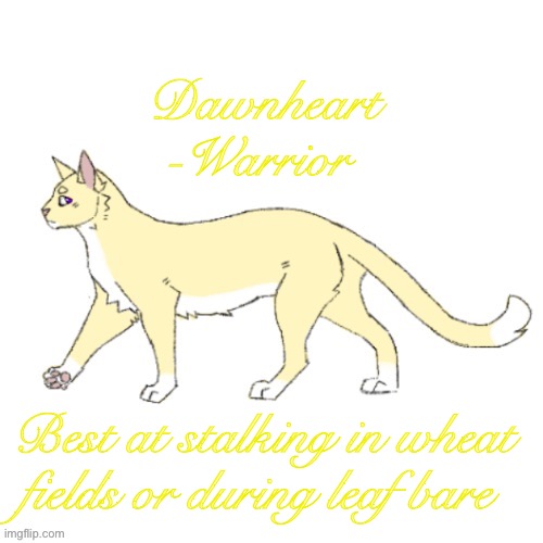 Just another Warrior | Dawnheart
-Warrior; Best at stalking in wheat fields or during leaf bare | made w/ Imgflip meme maker