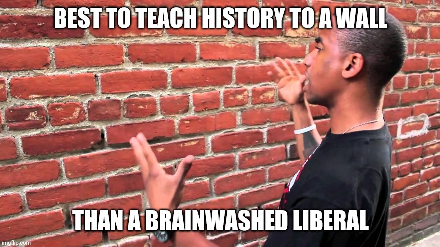 Talking to wall | BEST TO TEACH HISTORY TO A WALL THAN A BRAINWASHED LIBERAL | image tagged in talking to wall | made w/ Imgflip meme maker