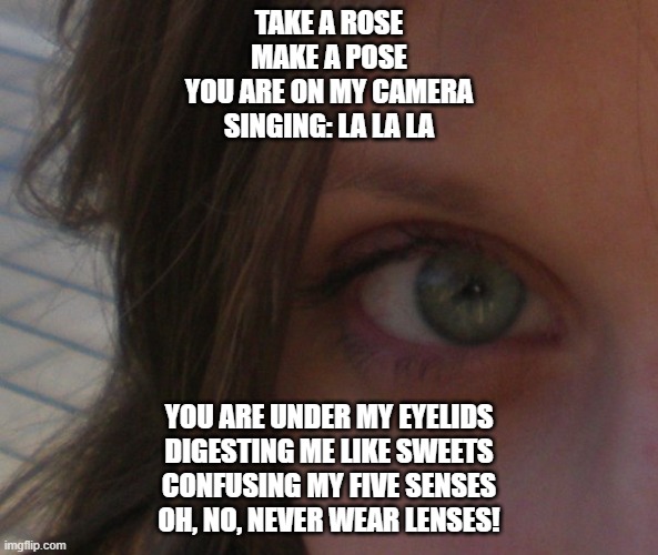 eye | TAKE A ROSE
MAKE A POSE
YOU ARE ON MY CAMERA
SINGING: LA LA LA; YOU ARE UNDER MY EYELIDS
DIGESTING ME LIKE SWEETS
CONFUSING MY FIVE SENSES
OH, NO, NEVER WEAR LENSES! | image tagged in eye | made w/ Imgflip meme maker