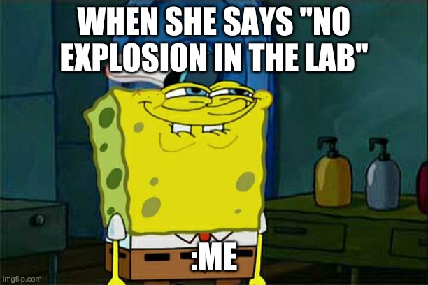 mason's meme | WHEN SHE SAYS "NO EXPLOSION IN THE LAB"; :ME | image tagged in memes,don't you squidward | made w/ Imgflip meme maker