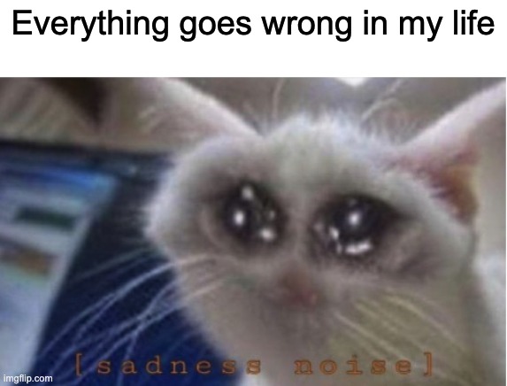 Mega sad cat | Everything goes wrong in my life | image tagged in mega sad cat,life,depression | made w/ Imgflip meme maker